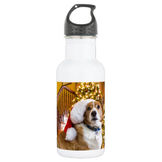 Christmas Corgi Water Bottle
