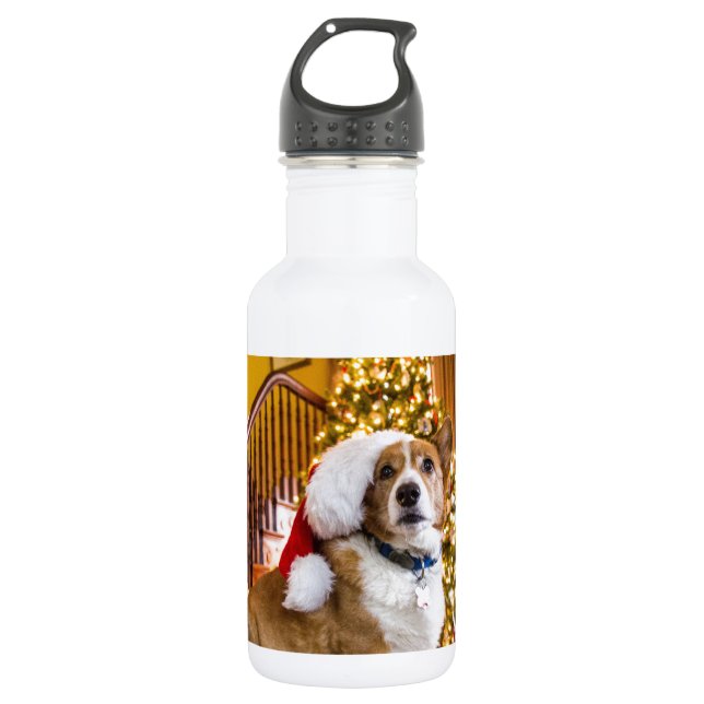 Christmas Corgi Water Bottle (Front)