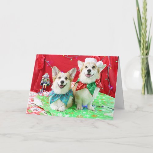 Christmas Corgis Greeting Card  Envelopes