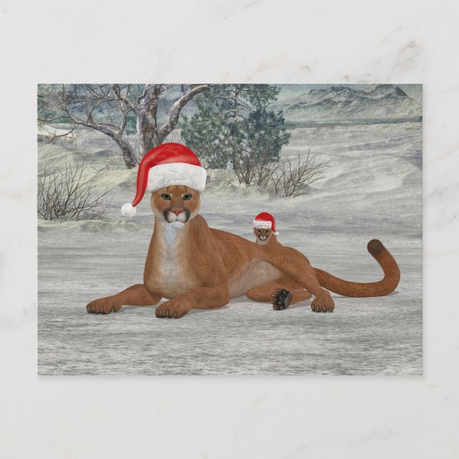 Christmas Cougar With Cub Postcard (Front)