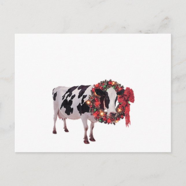 Christmas Cow Postcard Template (Front)