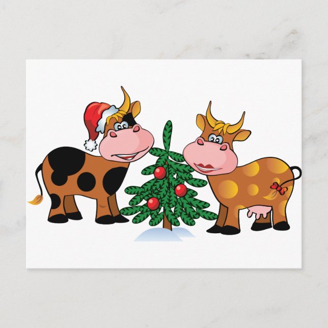Christmas Cows Holiday Postcard (Front)