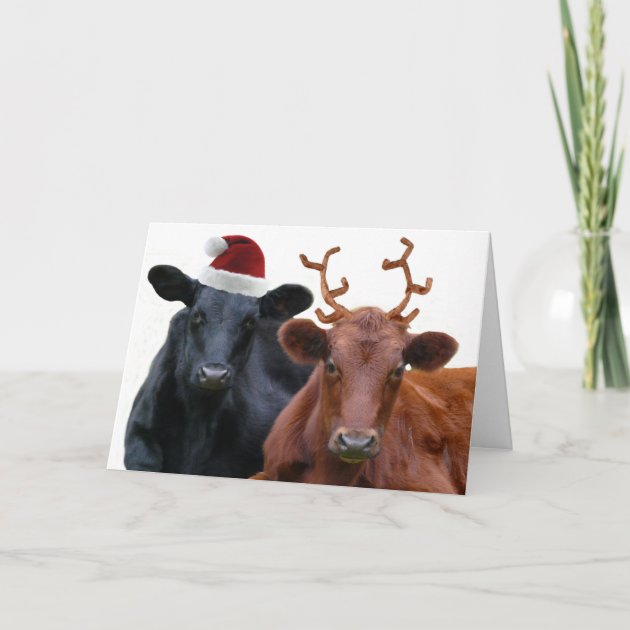 Christmas Cows In Santa Hat And Antlers Holiday Invitation
