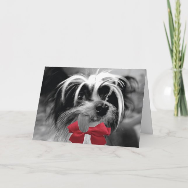 Christmas Crested (ME) Holiday Card (Front)