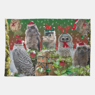Christmas Critters Owls and Raccoon Towel