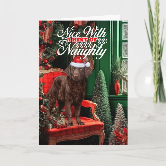 Christmas Curly Coat Retreiver Dog Naughty or Nice Holiday Card (Front)