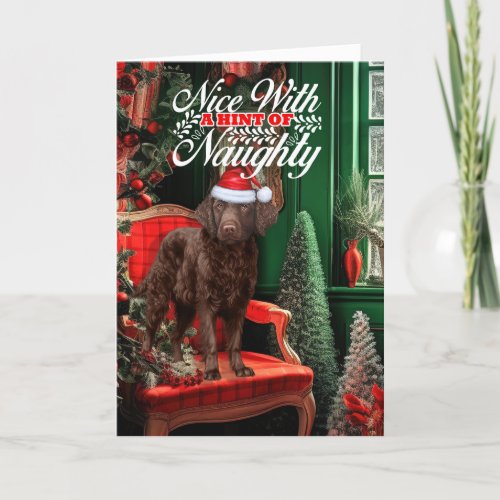 Christmas Curly Coat Retreiver Dog Naughty or Nice Holiday Card