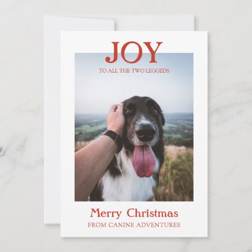 Christmas Custom Dog Photo Dog Walker Business Holiday Card