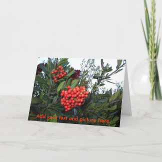 Christmas customcard: Add your text and picture... Holiday Card