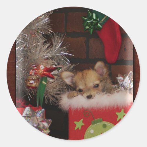 Christmas Cute Chihuahua Puppy In Box Classic Round Sticker