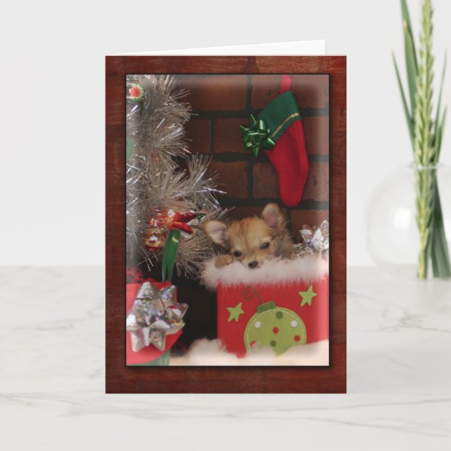 Christmas Cute Chihuahua Puppy In Box Holiday Card (Front)