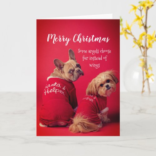 Christmas Cute French Bulldog And Shih Tzu Card