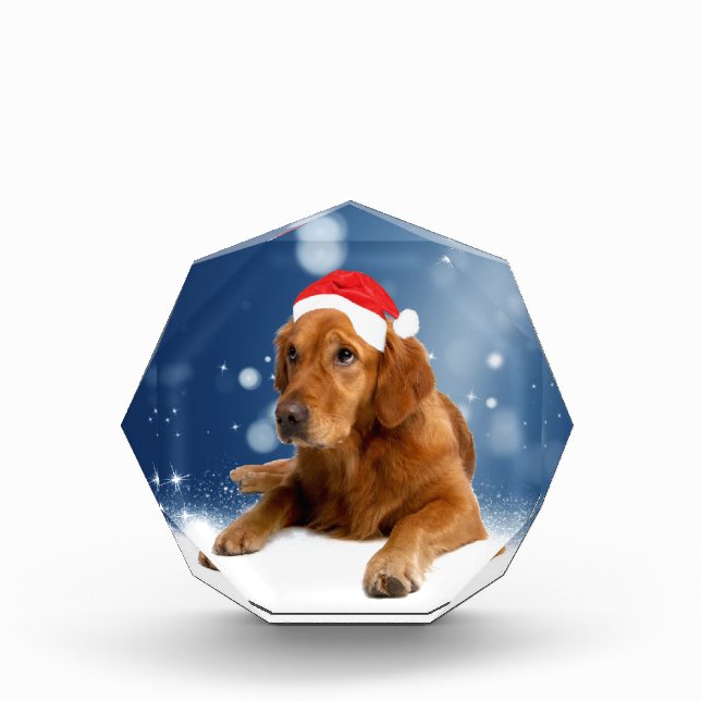 Christmas Cute Golden Retriever Dog Santa Hat Snow Award (Front)