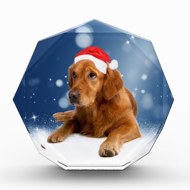 Christmas Cute Golden Retriever Dog Santa Hat Snow Award (Front)