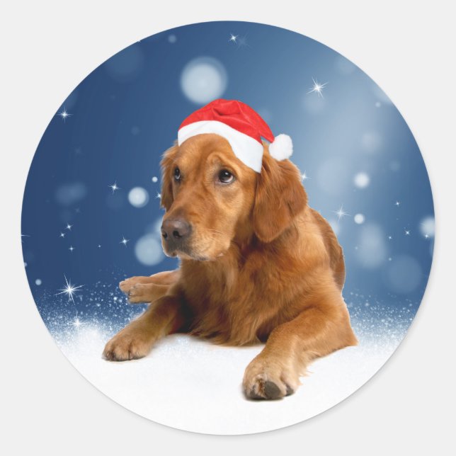 Christmas Cute Golden Retriever Dog Santa Hat Snow Classic Round Sticker (Front)
