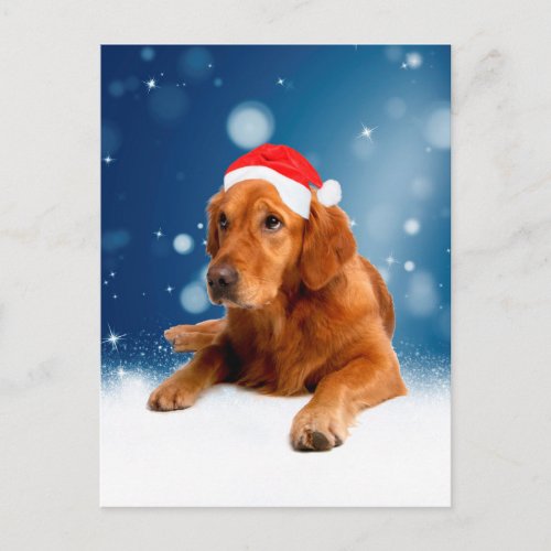 Christmas Cute Golden Retriever Dog Santa Hat Snow Holiday Postcard
