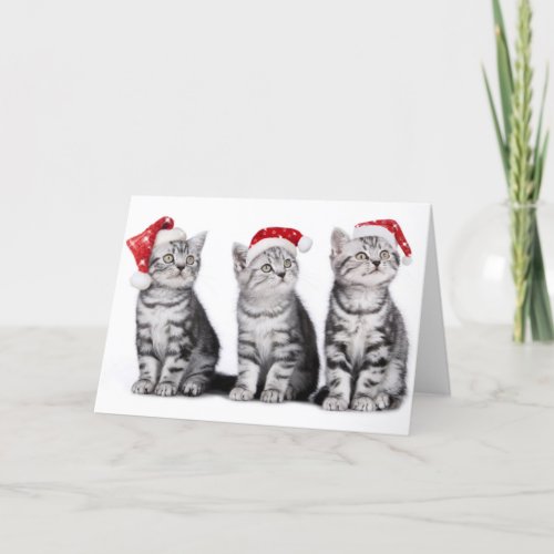 Christmas Cute Kitten Greeting Card