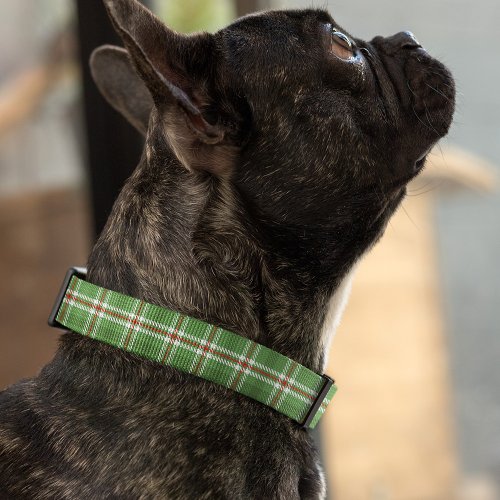 Christmas Cute Rustic Holiday Red Green Plaid Pet Collar