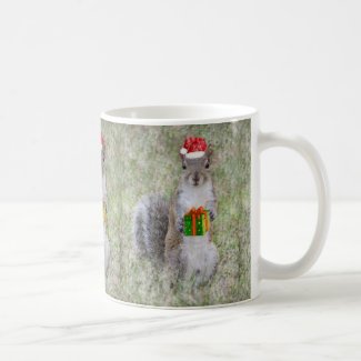 Christmas cute squirrel with the gift