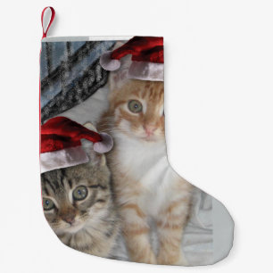Christmas cute tabby cats small christmas stocking