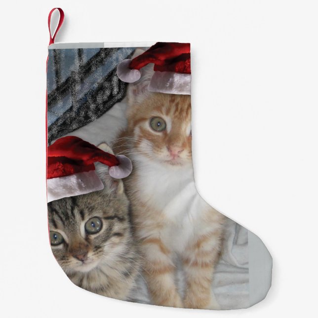 Christmas cute tabby cats small christmas stocking (Front)