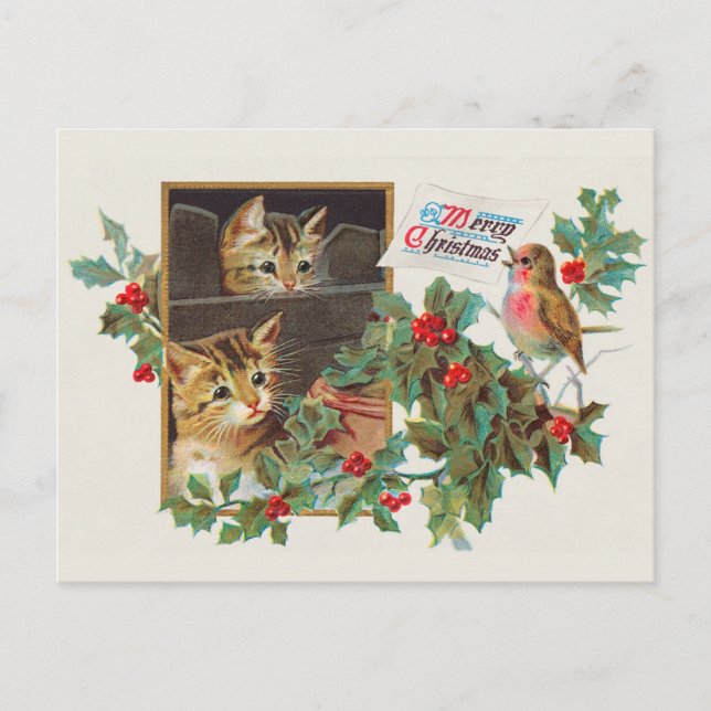 Christmas Cute Vintage Cat Postcard (Front)