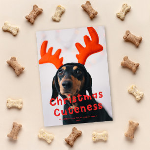 Christmas Cuteness Cute Funny Red Holiday Photo Card