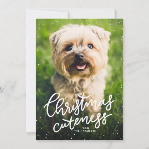 Christmas cuteness cute pet holiday card