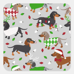 Christmas Dachshund All Coats Square Sticker