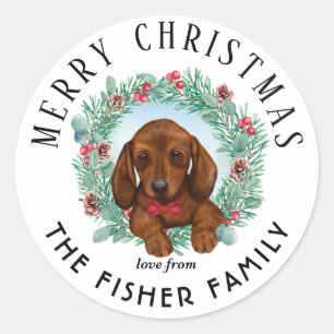 Christmas Dachshund Dog Merry & Bright Sticker