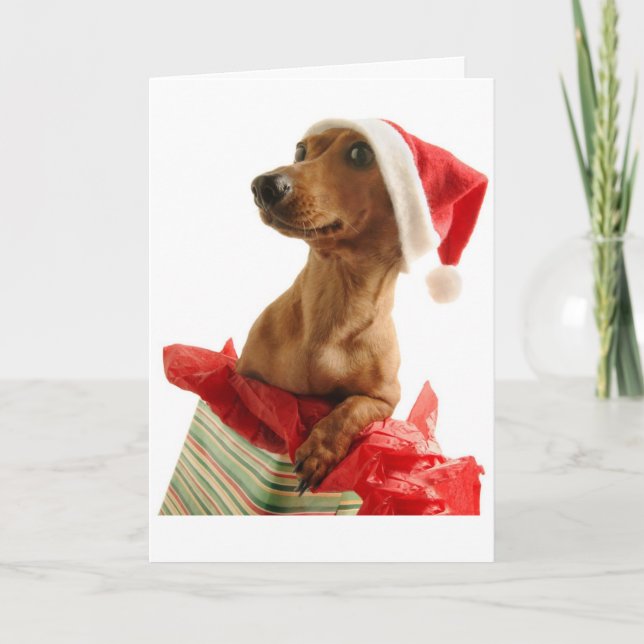 Christmas Dachshund Greeting Card (Front)