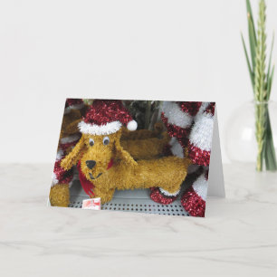 Christmas Dachshund Holiday Card
