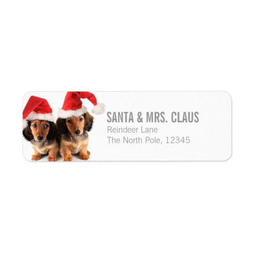 Christmas Dachshund Puppies Wearing Santa Hats Label