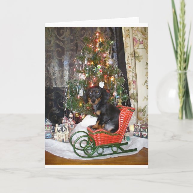 Christmas Dachshund Style Holiday Card (Front)
