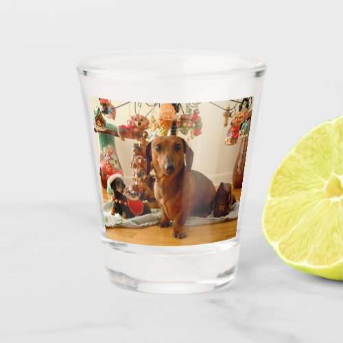 Christmas Dachshund Version 1 Shot Glass