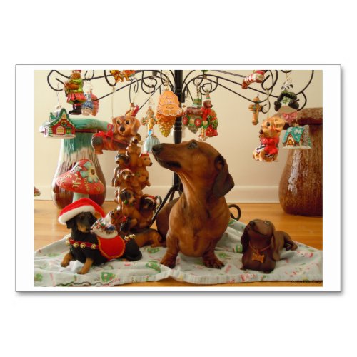 Christmas Dachshund Version 2 Table Number