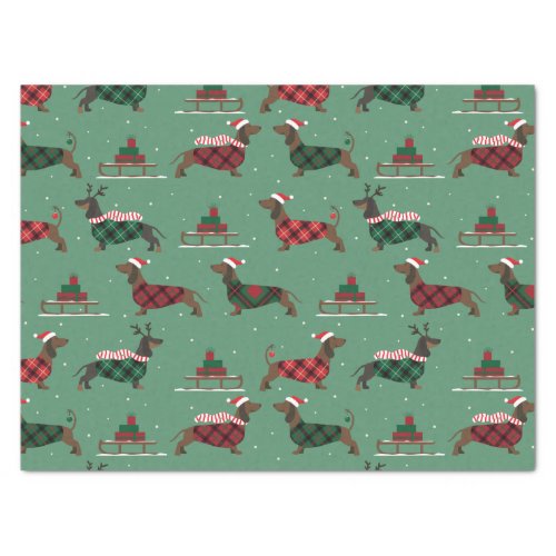 Christmas Dachshunds Wearing Sweater  Santa Hat Tissue Paper