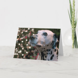Christmas Dalmatian Holiday Card