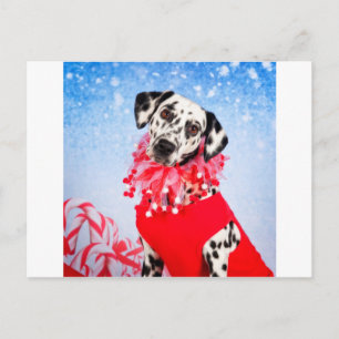 Christmas Dalmatian Holiday Postcard