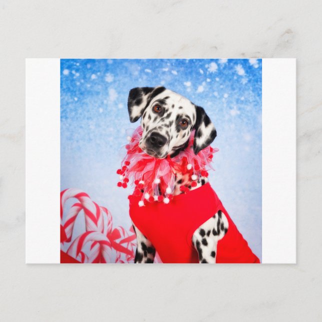 Christmas Dalmatian Holiday Postcard (Front)