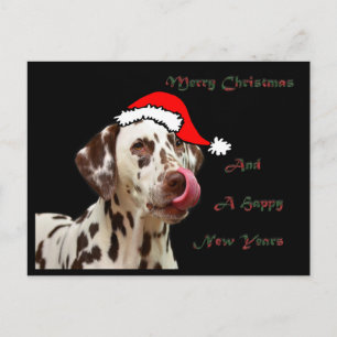 Christmas Dalmatian Postcard