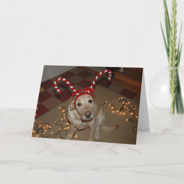 Christmas de-light! holiday card (Front)