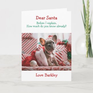 Christmas Dear Santa Before I Explain Holiday Card