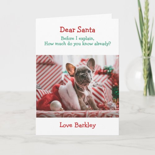 Christmas Dear Santa Before I Explain Holiday Card