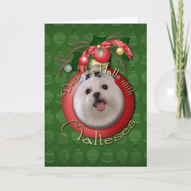 Christmas - Deck the Halls - Malteses Holiday Card (Front)