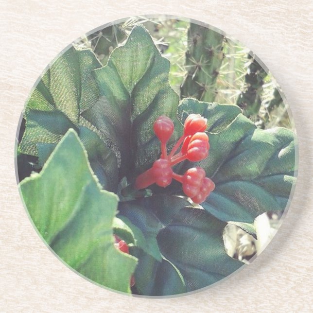 Christmas decorated cactus coaster (Front)