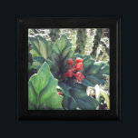 Christmas decorated cactus jewelry box<br><div class="desc">All rights reserved © Angelandspot</div>