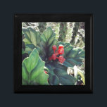 Christmas decorated cactus jewelry box<br><div class="desc">All rights reserved © Angelandspot</div>