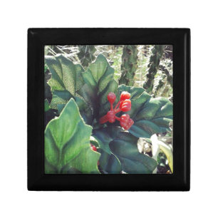 Christmas decorated cactus jewelry box