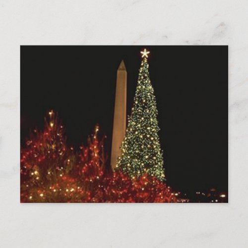 Christmas decorations on the Washington DC  Mall Holiday Postcard